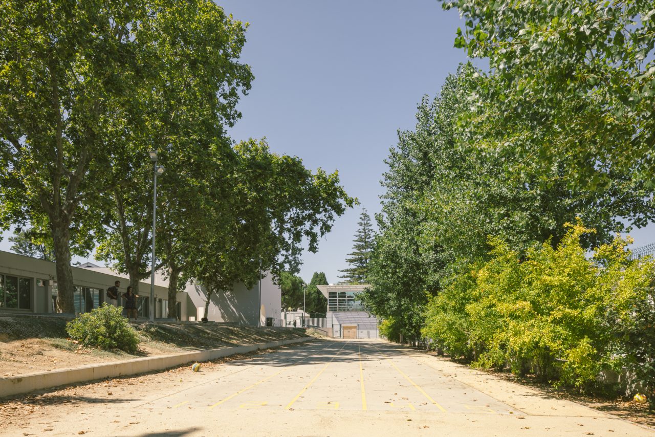 Nuno Almendra- Haha Arq _7