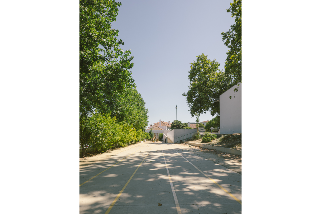 Nuno Almendra- Haha Arq _8v