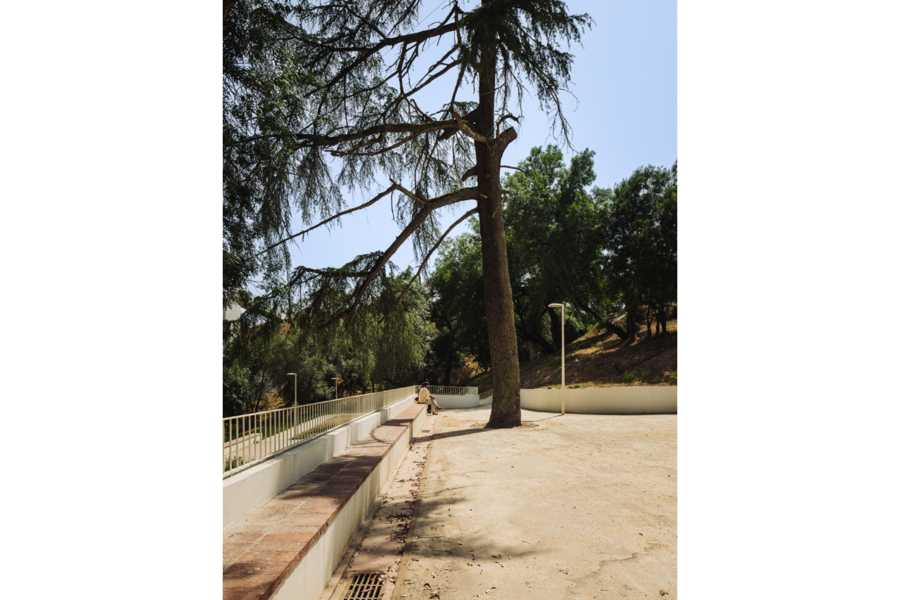 Nuno Almendra_HAHA_9