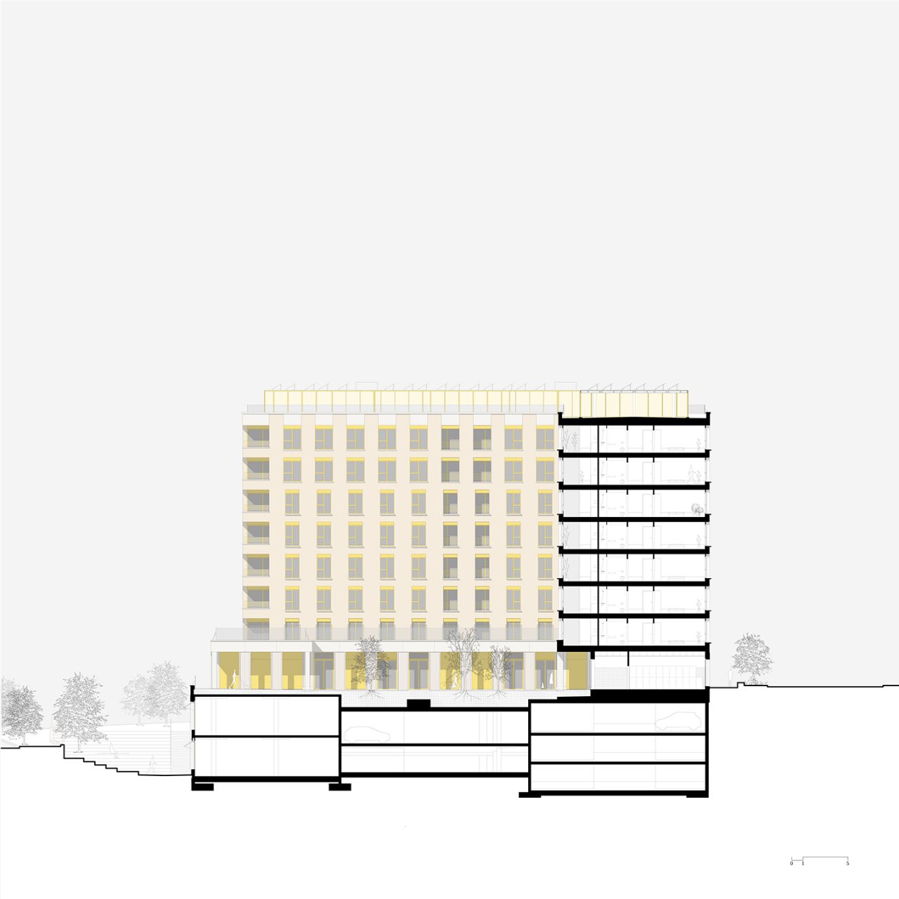 Corte S-N – ARMADOR