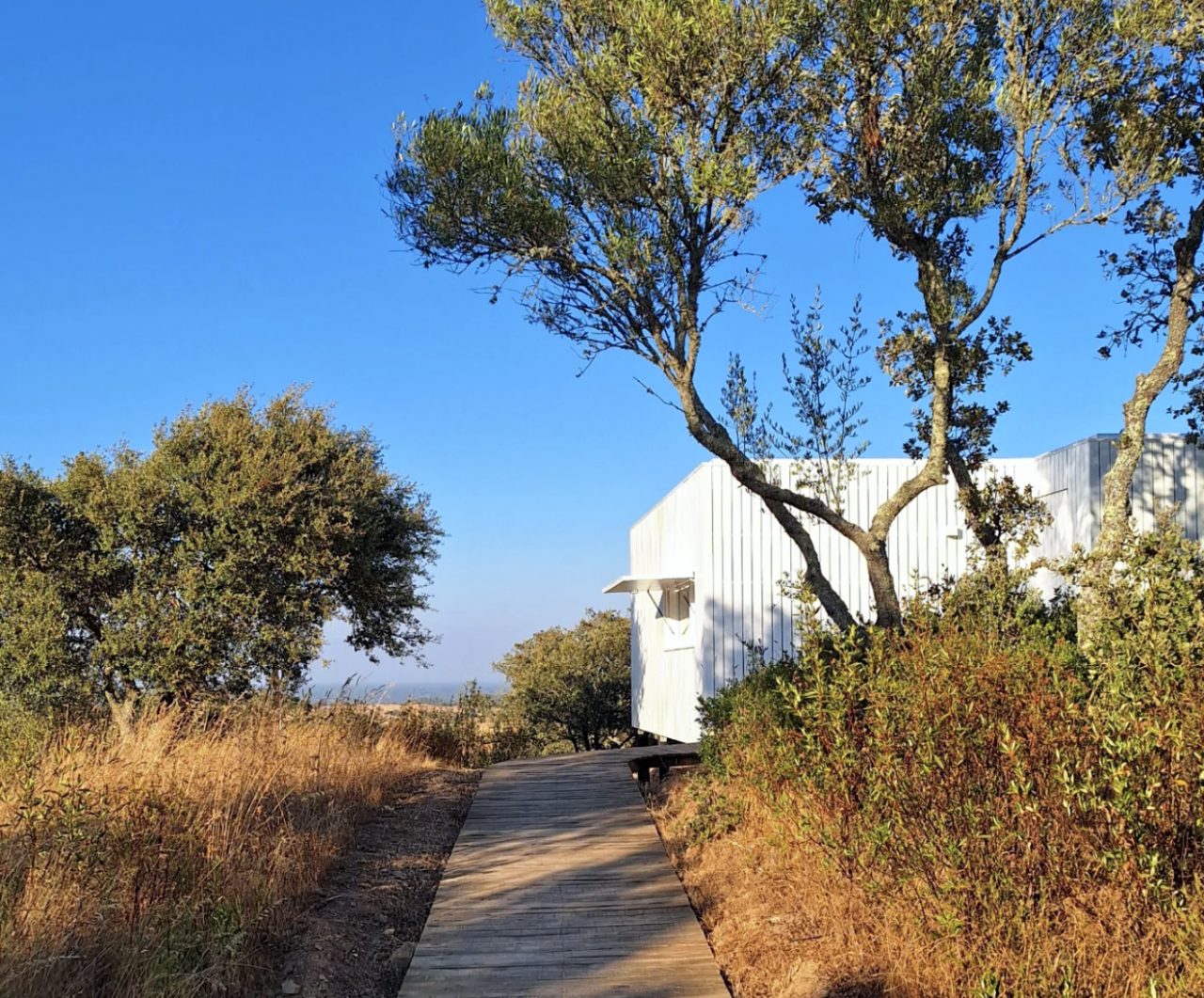 Monte das Casolas img3